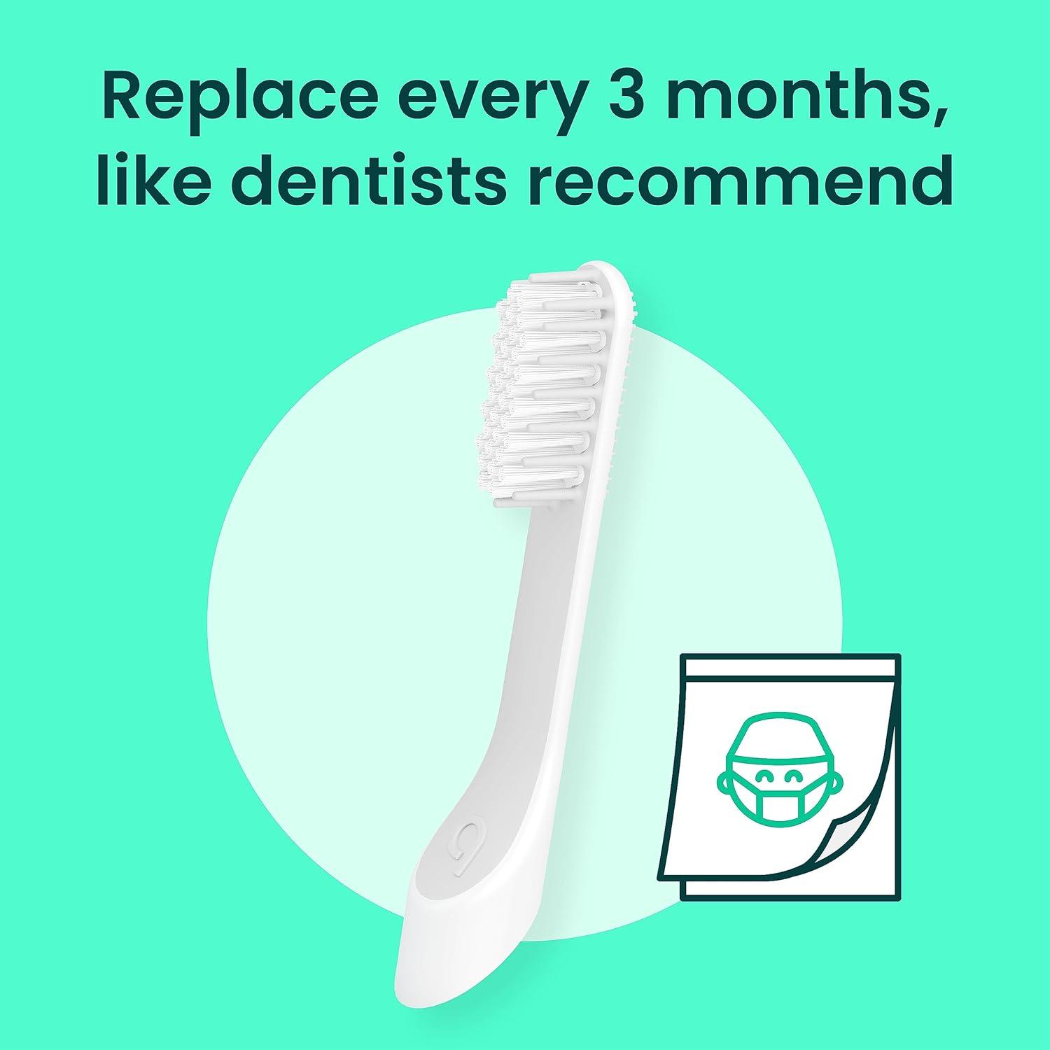 image:imagequip Sonic Toothbrush Replacement Heads for Adults 3 Pack Verified quip Standard Brush Head Refills for Electric Toothbrushes Soft Bristles Compact amp Flexible Last 3 Months Each1 Count Pack of 3