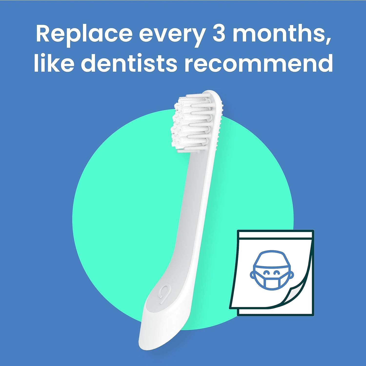 image:imagequip Sonic Toothbrush Replacement Heads for Kids 3 Pack Verified quip Small Brush Head Refills for Electric Toothbrushes Soft Bristles Compact amp Flexible Last 3 Months EachKids Pack of 3